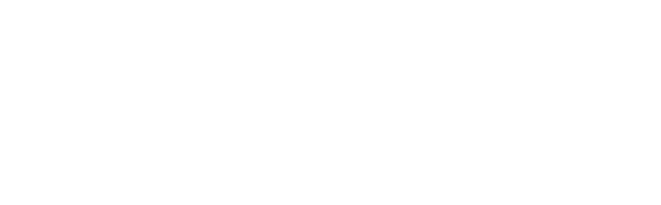 Top Firm Logo